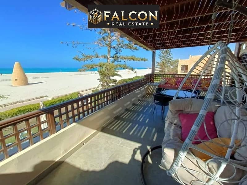 9 441867025_427976826634666_3307786038435923474_n. jpg