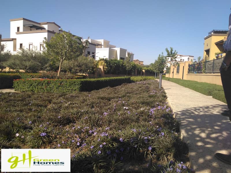 11 IMG_20201019_143306. jpg