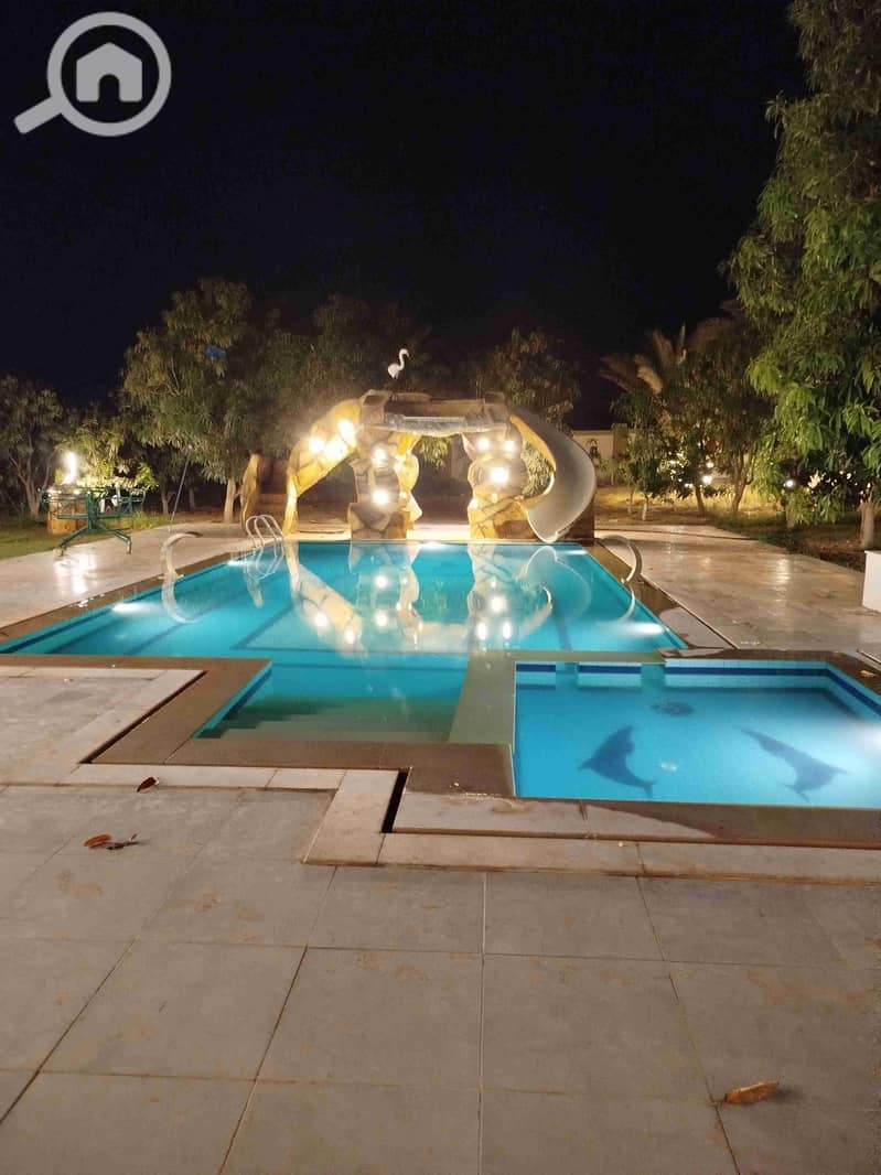 IMG_20251011_025223. jpg