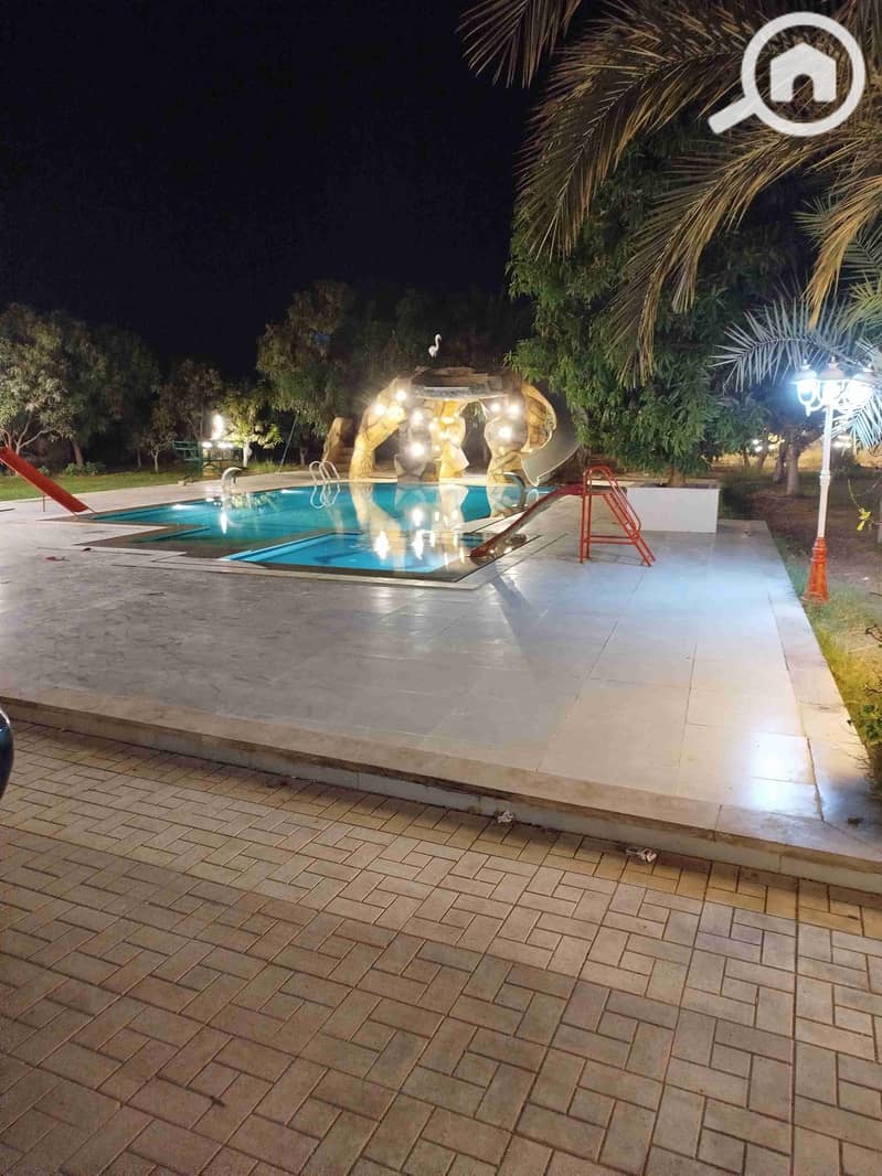 5 IMG_20251011_025021. jpg