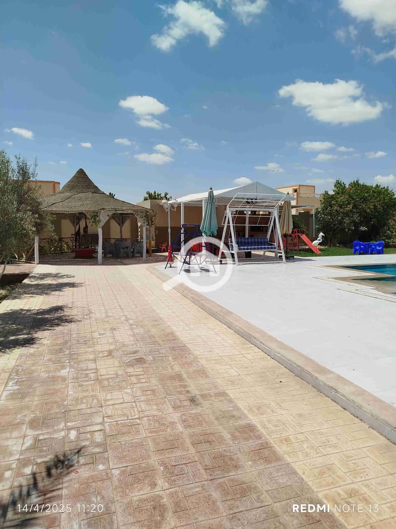 25 IMG_20250414_112045. jpg