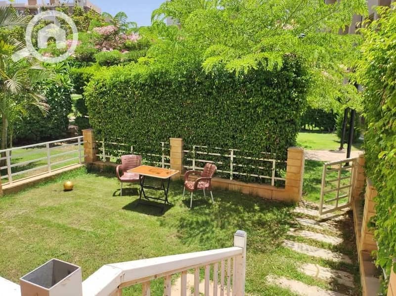 WhatsApp Image 2025-11-09 at 16.02. 49_7da3c1e7. jpg