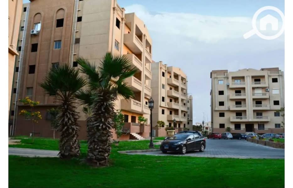 5 8128729-3272fo. jpg