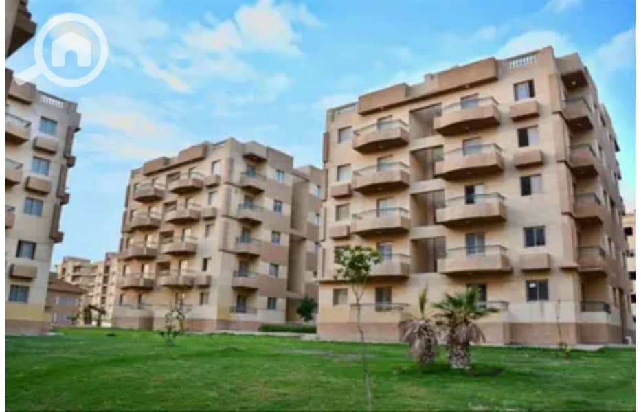 6 8128729-7917eo. jpg