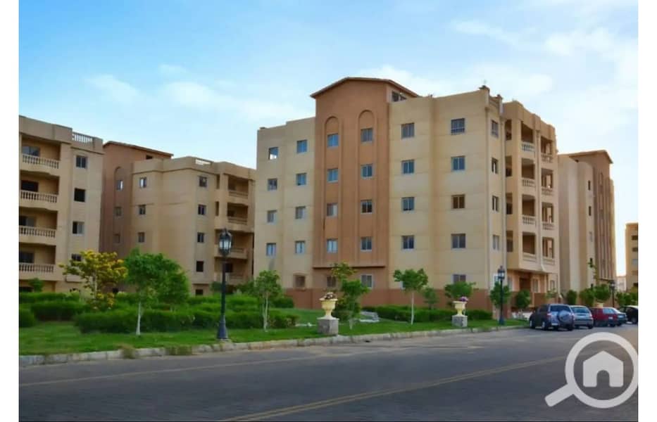 8 8128729-c2cc4o. jpg