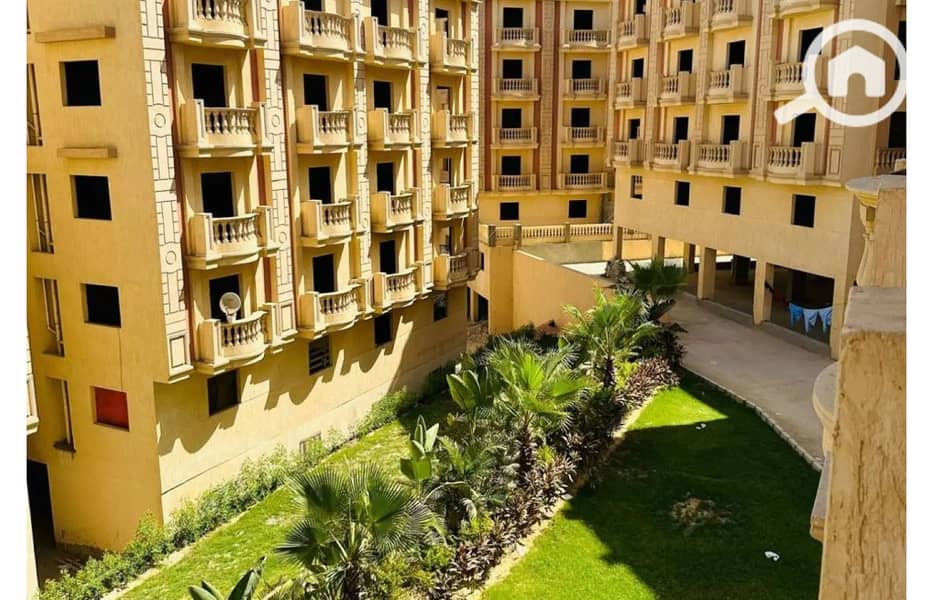 10 8165037-36febo. jpg