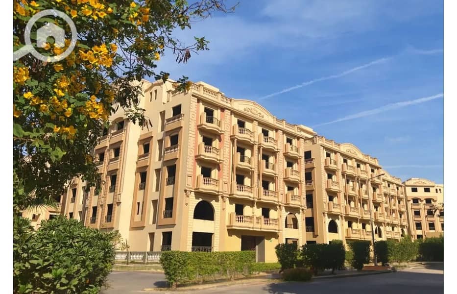 11 8165037-77eb4o. jpg