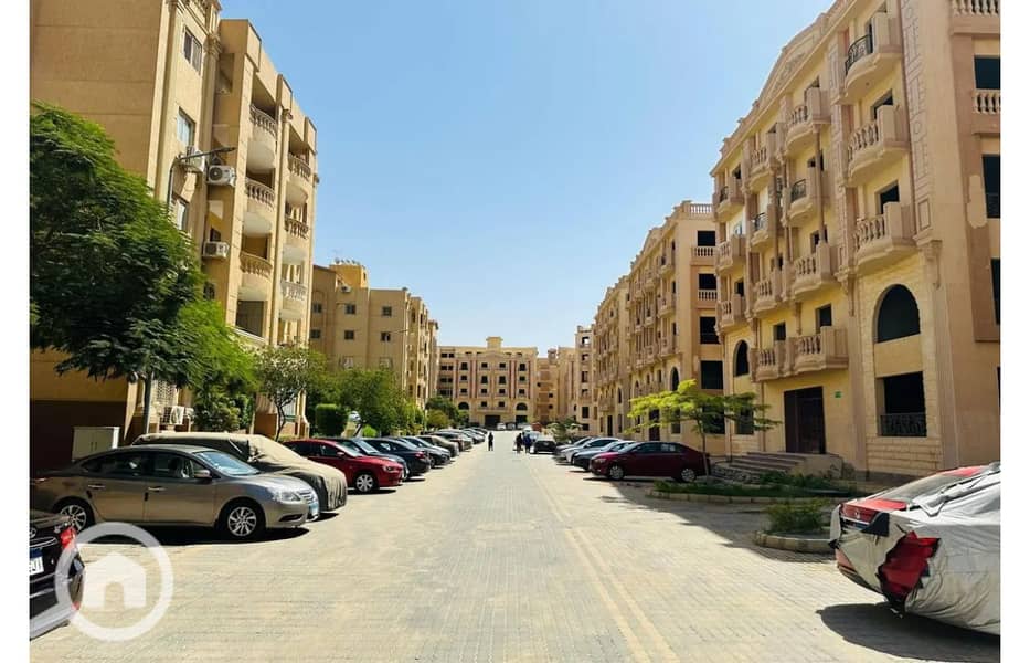 12 8165037-8671do. jpg