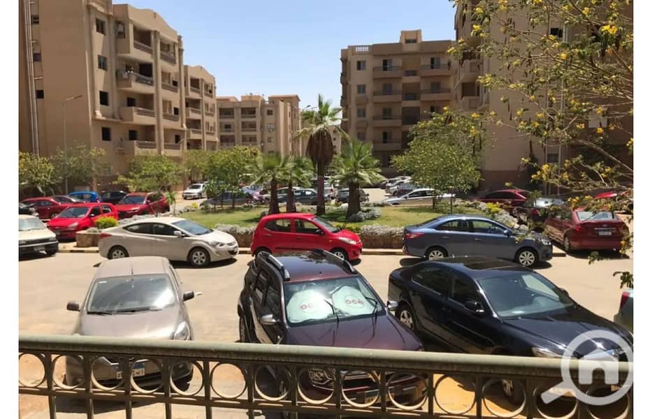 13 8213848-81e38o. jpg