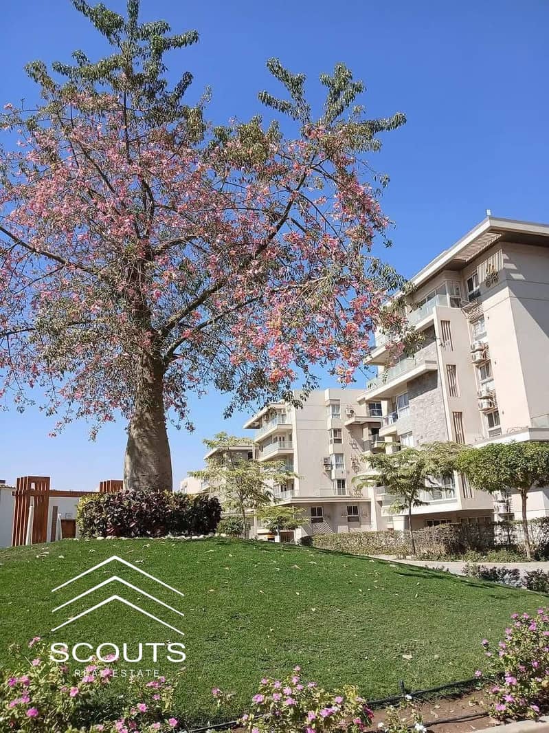 8 WhatsApp Image 2025-10-05 at 13.09. 37 (2). jpeg