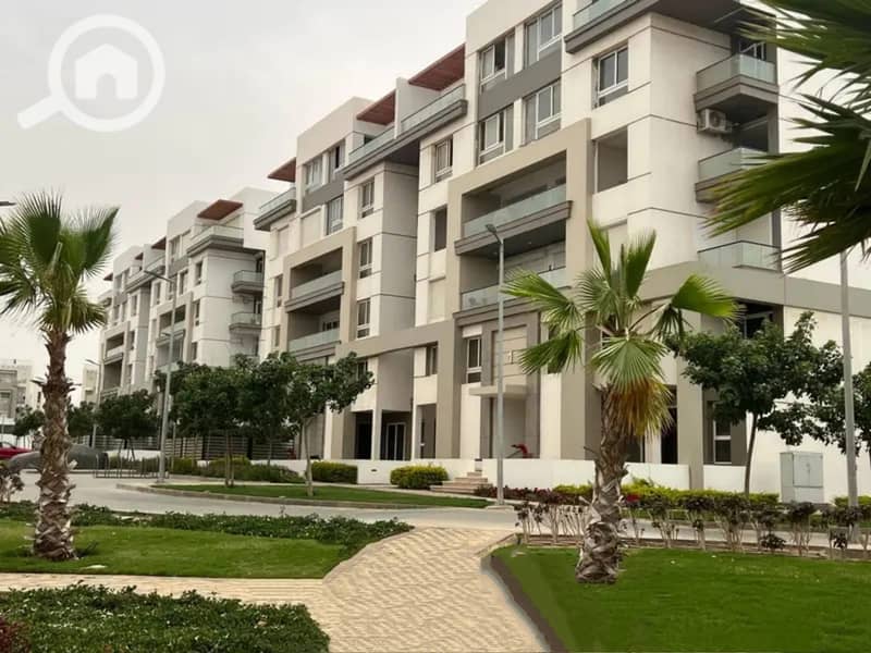 8 560147482_1113392597614963_6094969594941920521_n. jpg