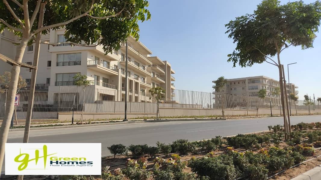 3 WhatsApp Image 2022-08-15 at 11.48. 53 AM. jpeg