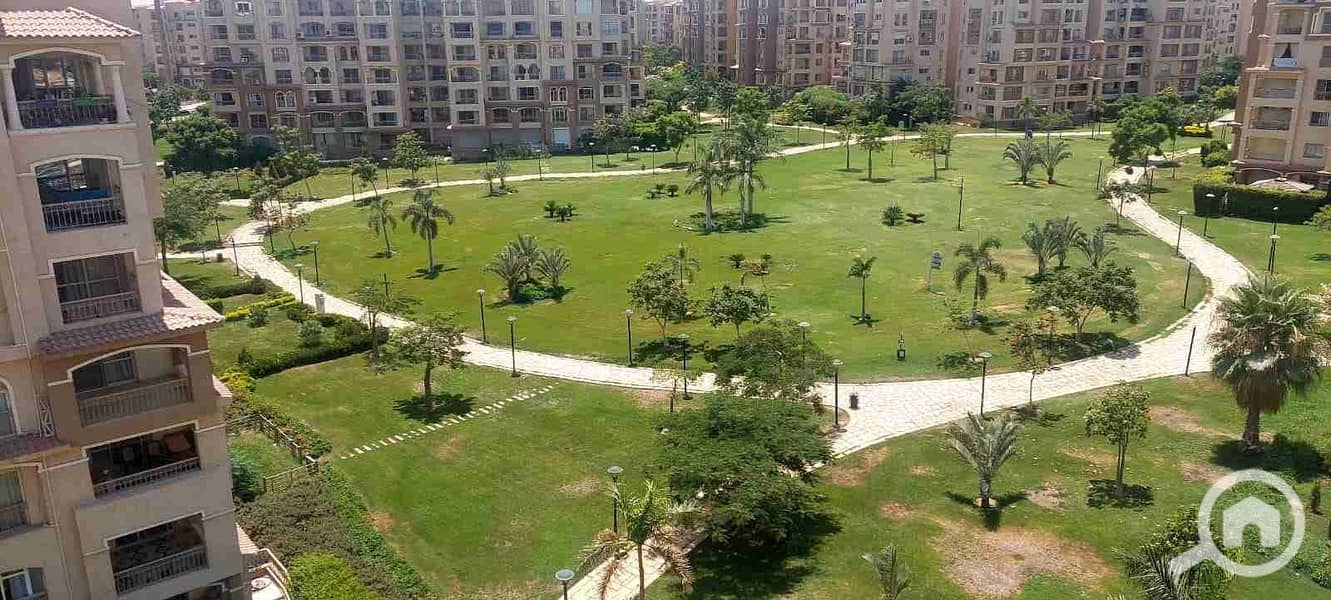 1000546209. jpg 1000546209. jpg