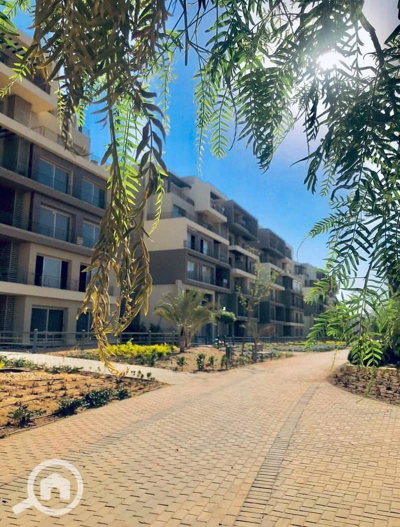 11 WhatsApp Image 2025-11-09 at 06.58. 28_b72e2dcf. jpg