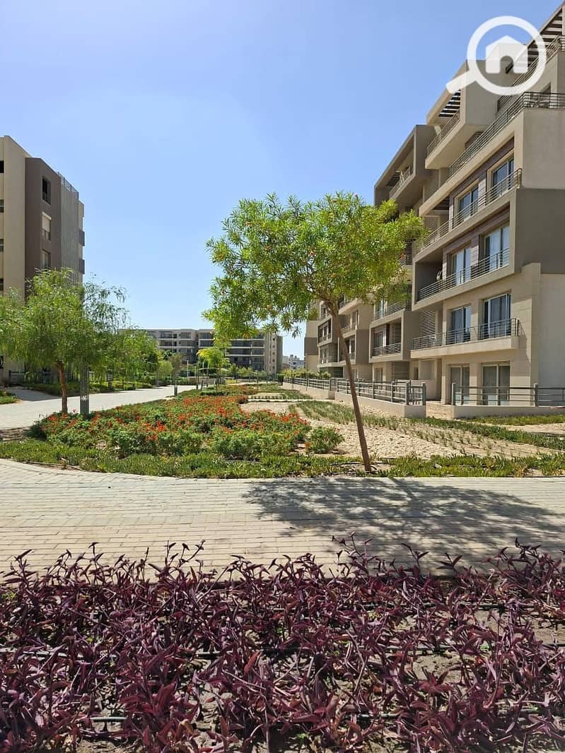 14 WhatsApp Image 2025-11-09 at 06.58. 28_e4cc249b. jpg