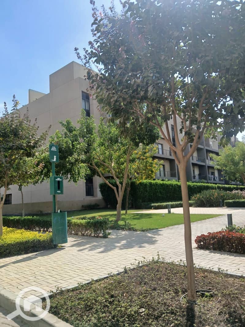 11 WhatsApp Image 2025-10-12 at 3.17. 13 PM (2). jpeg