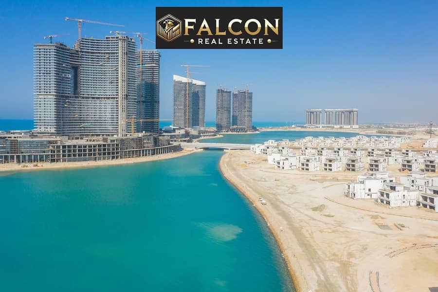 12 ddaee5a8-cadb-43bc-8ee0-96f0bef873f2. jpg