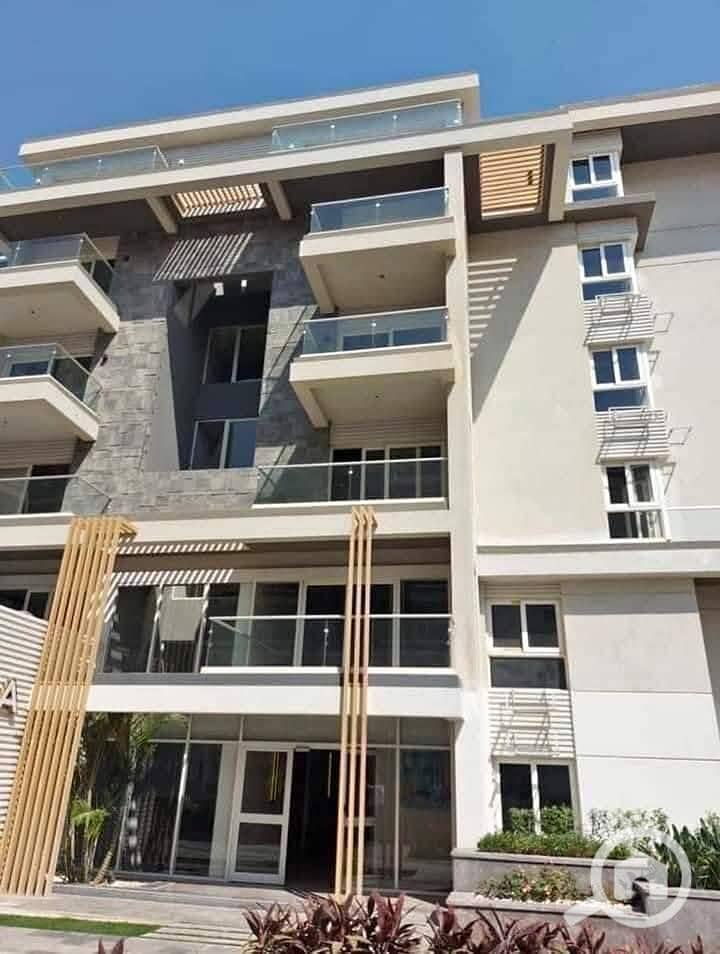 8 556955494_122226634364171150_4808213800879800295_n. jpg