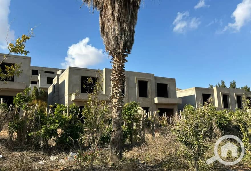 3 8205908-cc8dbo. JPG