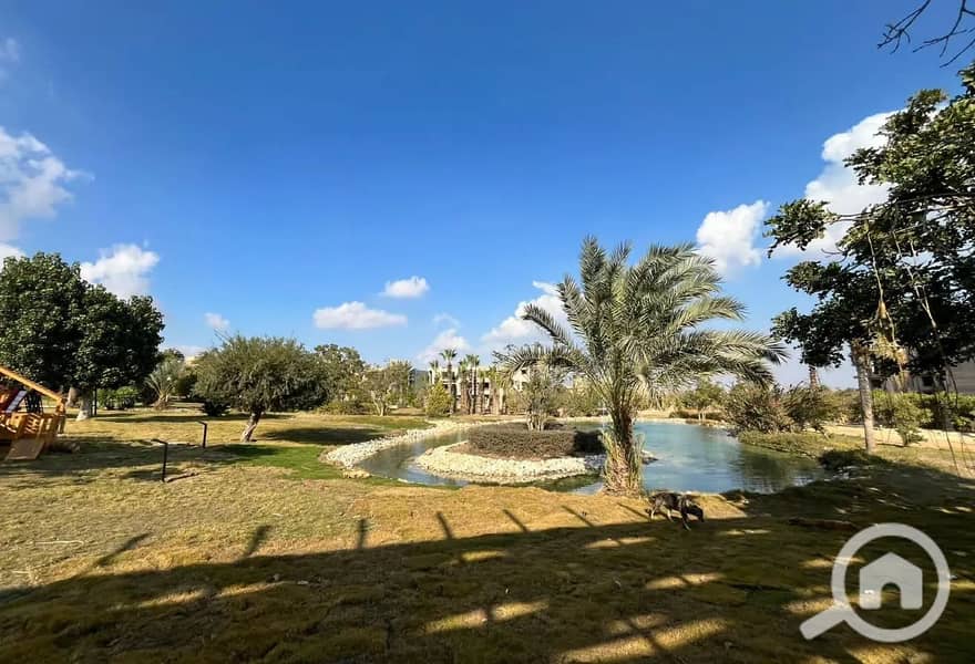 8 8205908-c33bbo. JPG