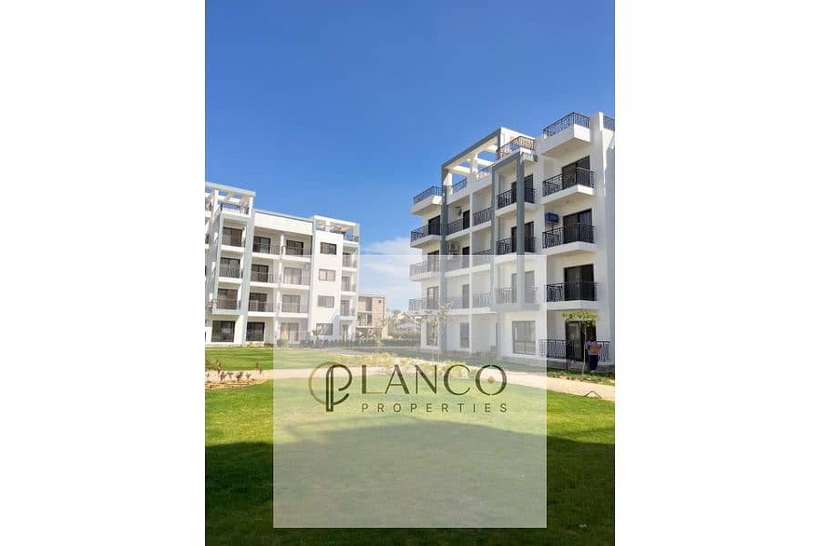 5 e112ac87-b8a5-44c6-93ca-4eee58a8e77b (1). jpg