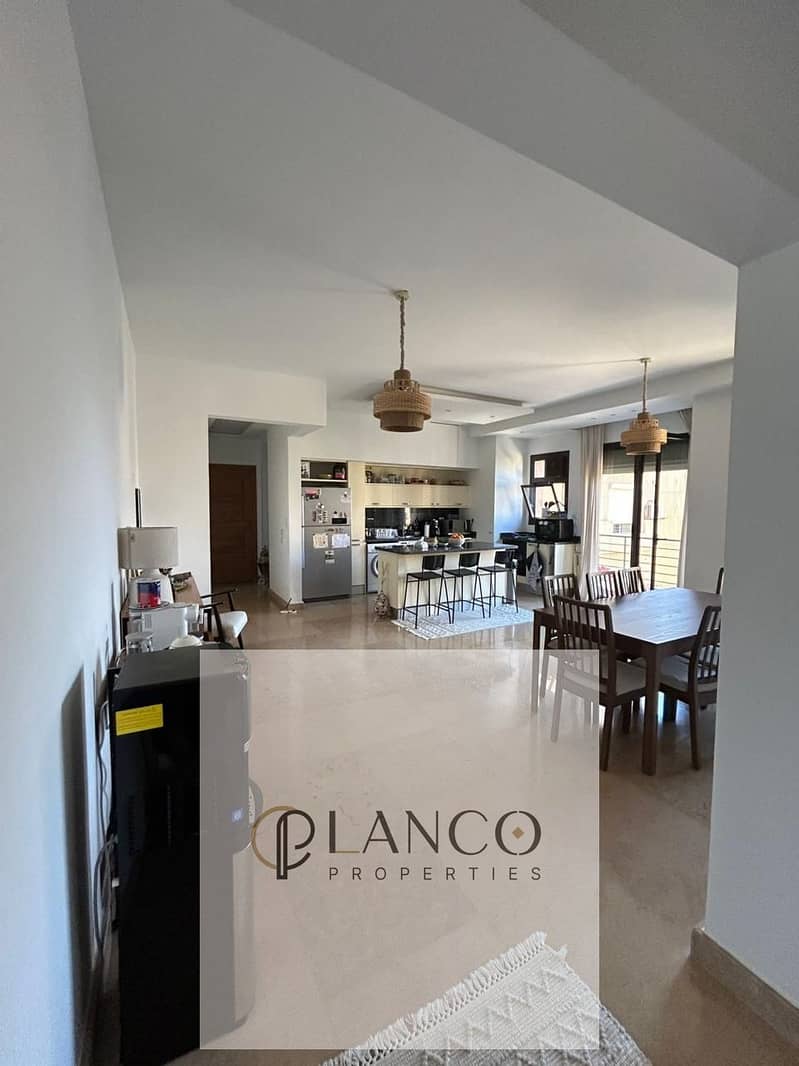 3 917df1c1-4797-4f54-93df-431694a1f9b5. jpeg