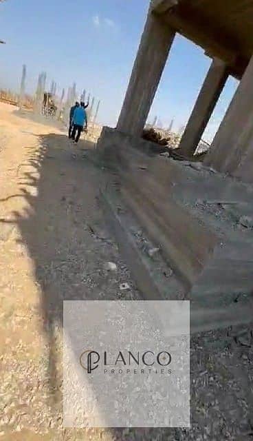 3 6d42bb57-619f-495b-9720-d0ddf7dce513 (1). jpeg