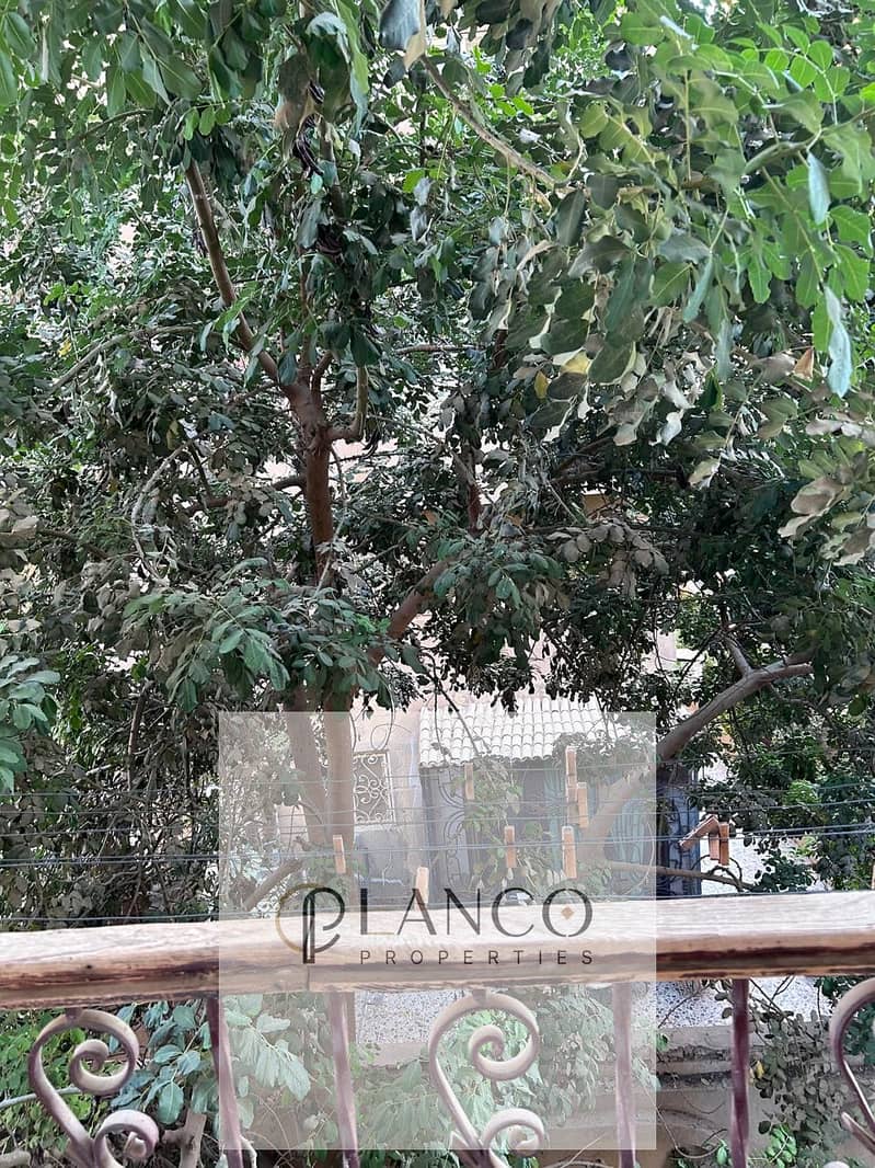 13 c6b24bdb-b2da-4afb-8b2d-9adbe3b9521b. jpeg