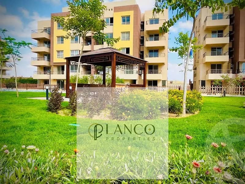 3 64ef1b834c6f6962442891. jpg