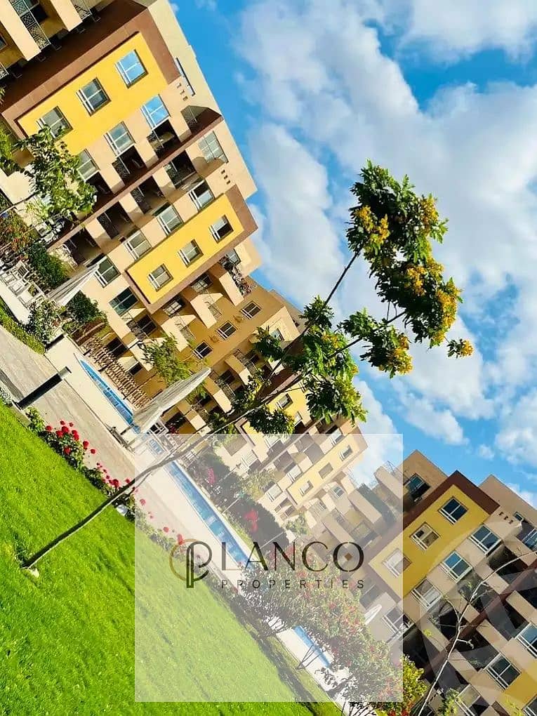 4 64ef1b8303e8b887559331. jpg