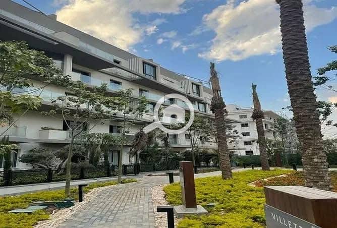 7 558018477_24505657922452566_4000469520225193282_n. jpg