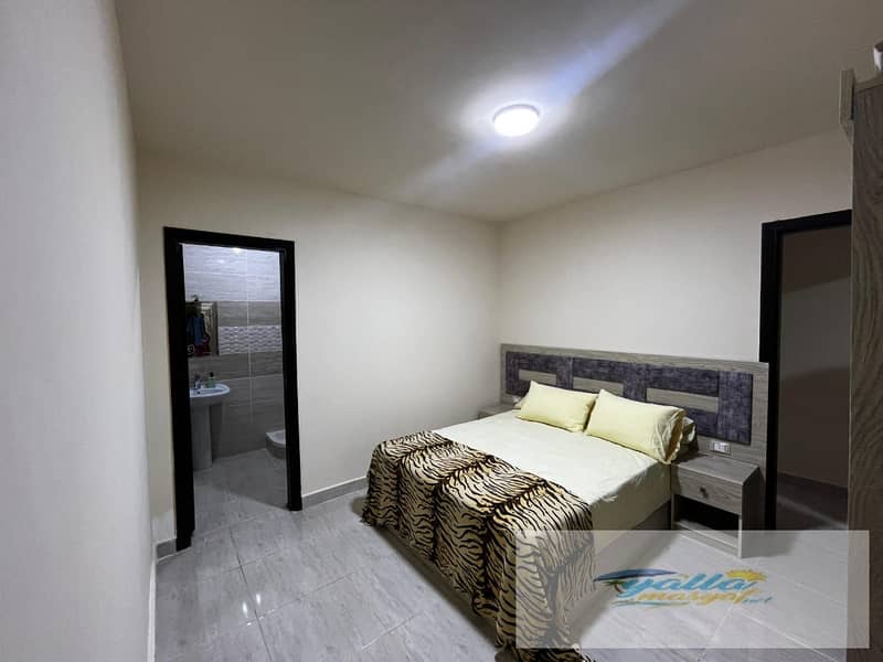 3 68f6591d0cd14_WhatsApp-Image-2025-10-18-at-3.54. 53-PM-(2). jpeg