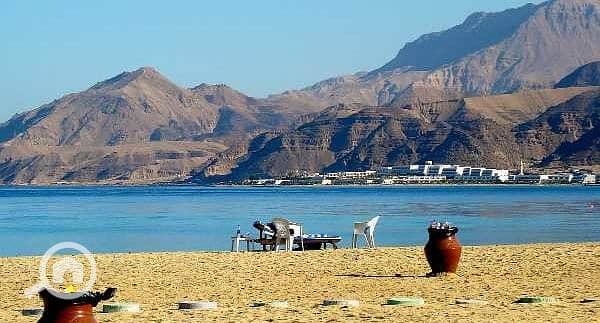 4 article_original_487_201026_1001177-600x323 (1). jpeg_2020-07-26-01-36-21. jpeg