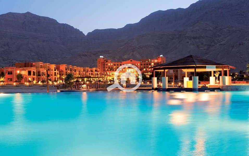 5 leonardo-305045-180066985-049115. jpg