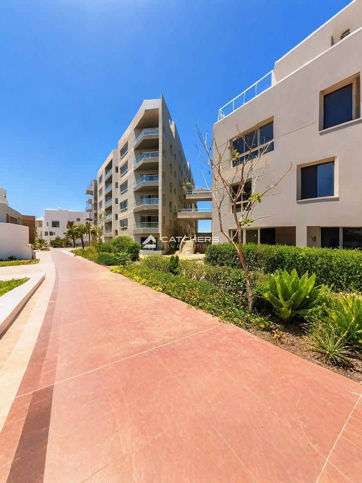 2 527522269_3978412249039587_9212982448447352429_n. jpg