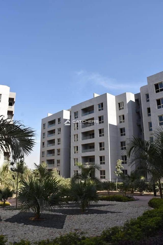 4 527981450_680394355048839_5840558015853675412_n. jpg