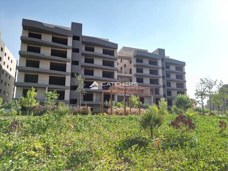 3 468085845_1251978729440792_8097737069253961090_n. jpg