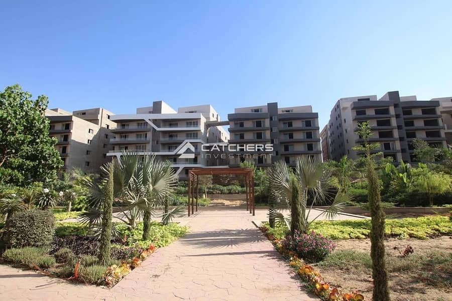 7 564580384_837334875321808_4844088507722364712_n. jpg