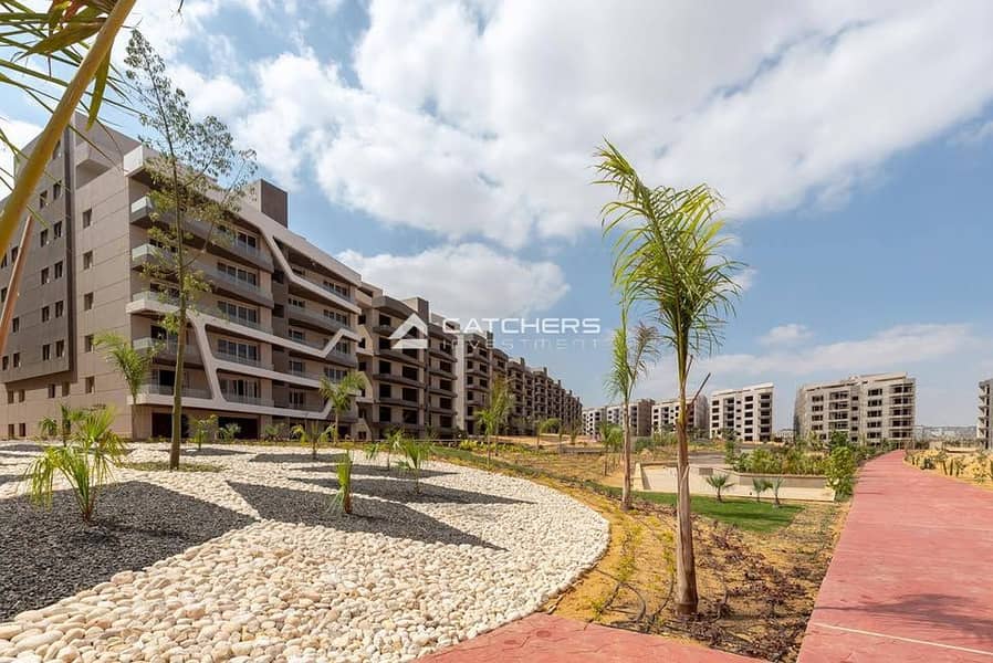 8 564609687_837334995321796_6085231575734751747_n. jpg