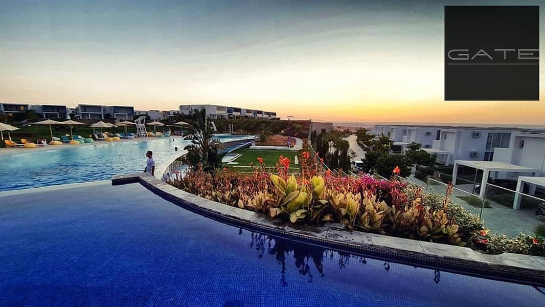 4 16488936-800x600. jpg