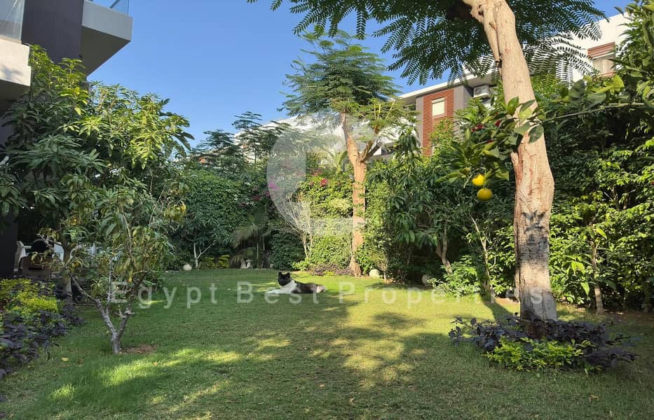 20 51879d02-7f38-48ba-991f-9972bcf2aee9. jpeg