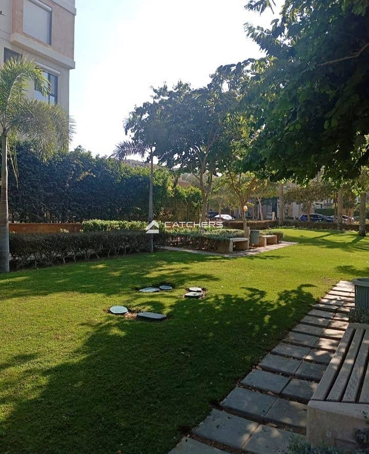 10 578488796_4343508155889158_7350587491047496782_n. jpg