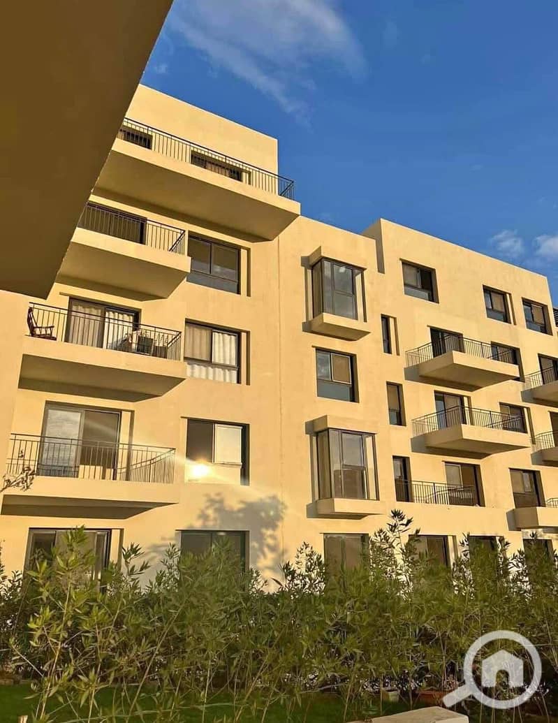 9 d8655043-6321-4f2e-8e31-53010481fda1. jpg