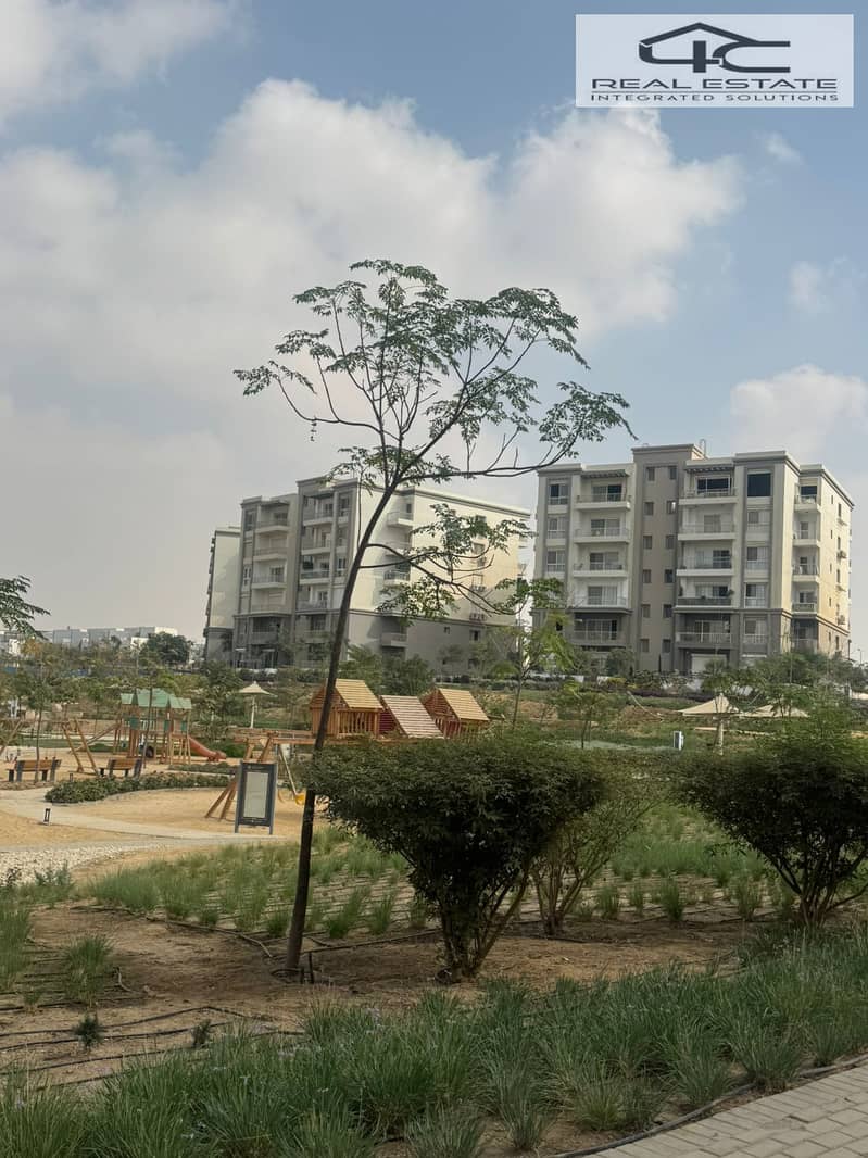 2 WhatsApp Image 2025-11-09 at 3.53. 08 AM. jpeg