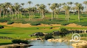 4 download (44). jpeg