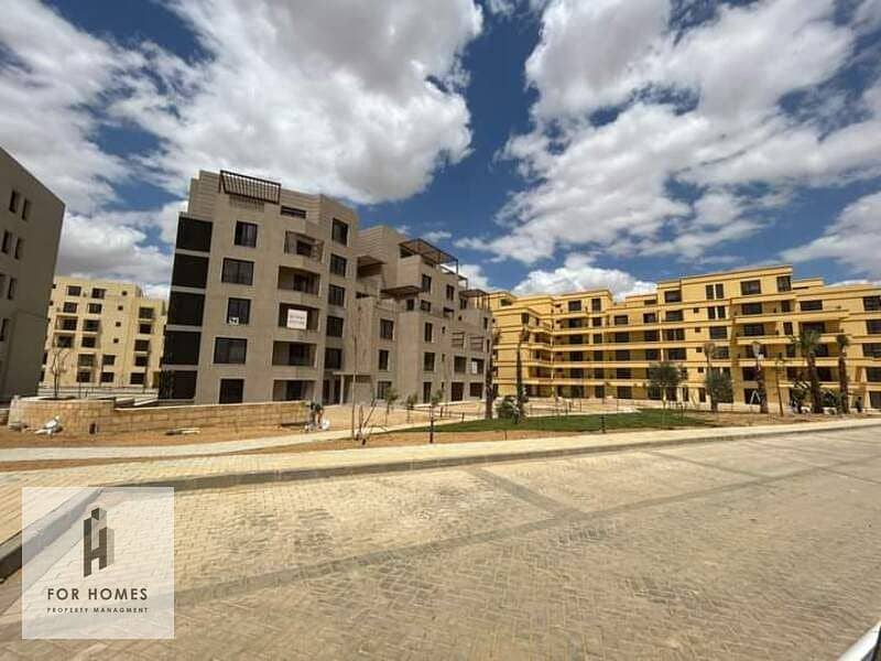 3 WhatsApp Image 2023-08-08 at 1.41. 49 PM. jpeg