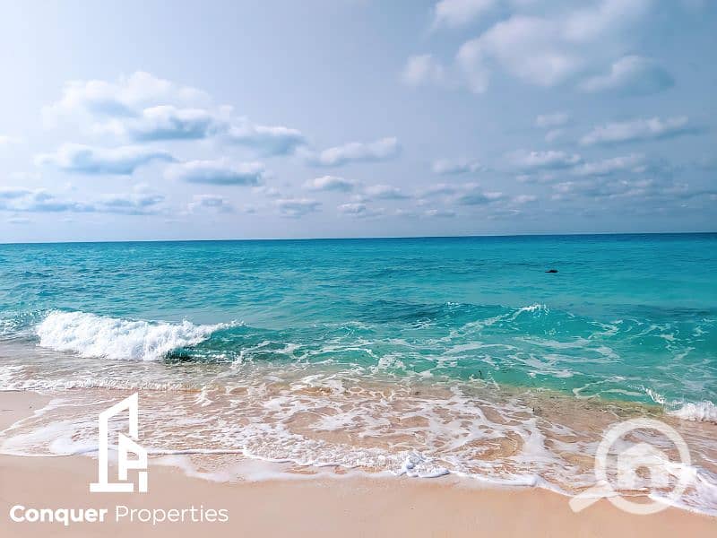 10 Untitled design - 2023-08-07T153231.734. png