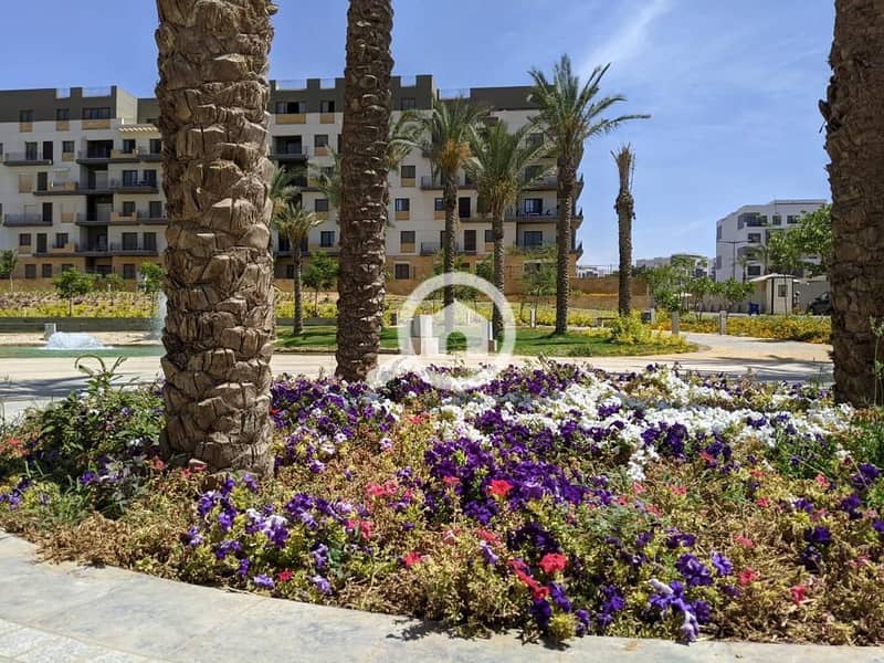 4 WhatsApp Image 2025-10-13 at 5.56. 21 PM (1). jpeg