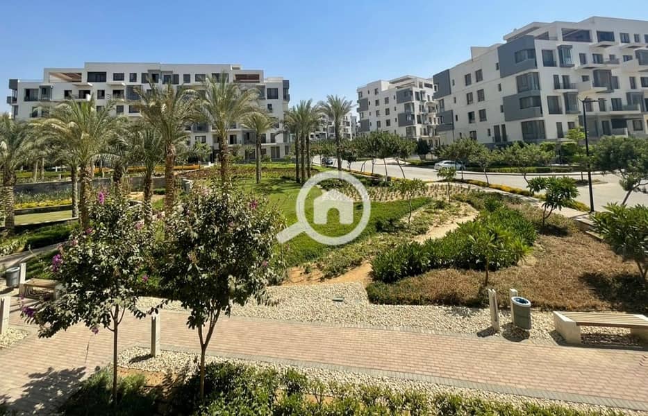 13 377286661_799354838651086_8596209082153818587_n. jpg