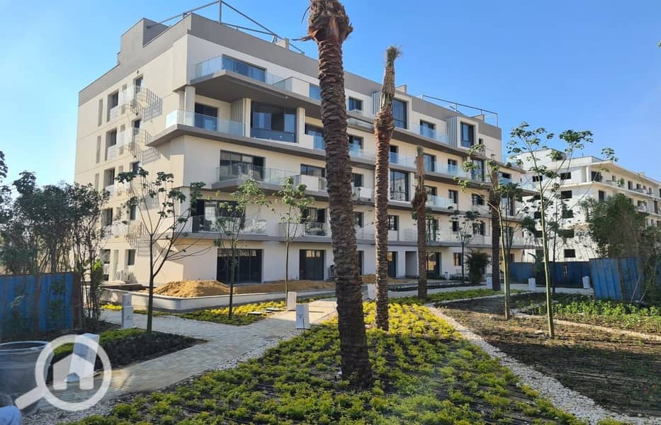 375923210_798294655423771_1385712668484797721_n. jpg